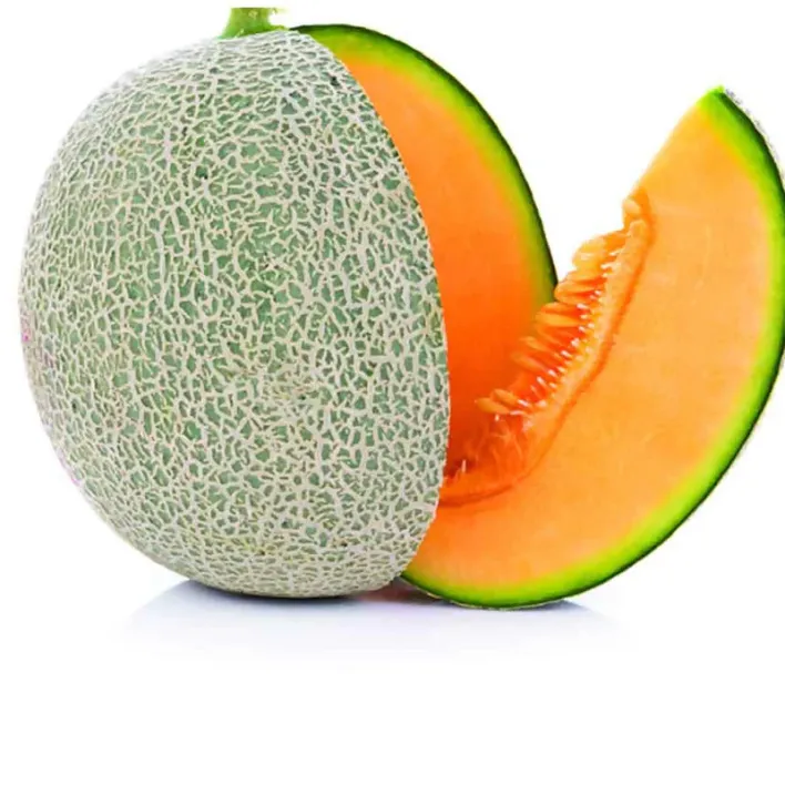 Rockmelon - Whole