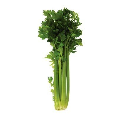 Celery - Each 