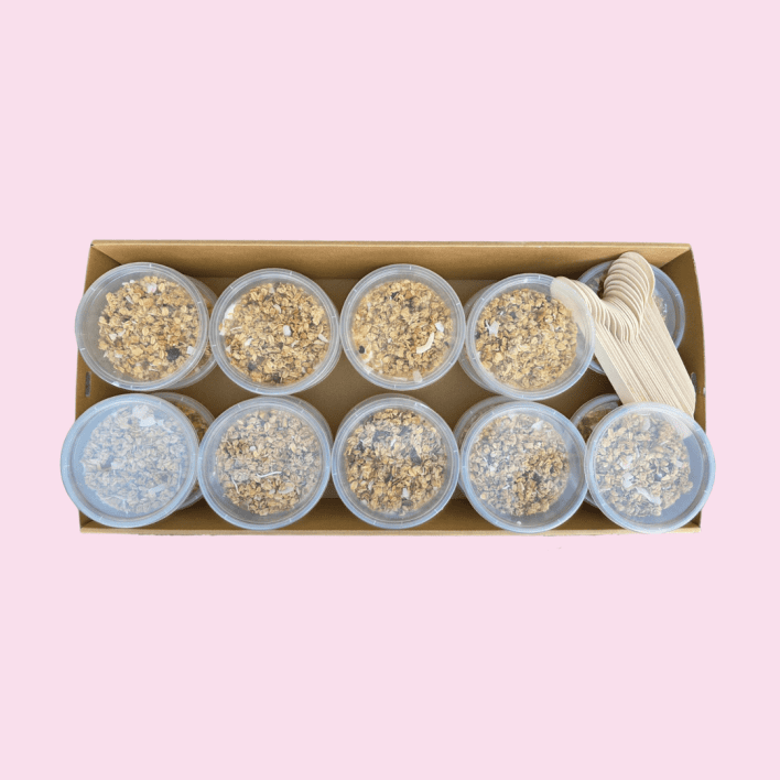 Honey Yogurt Muesli Cups