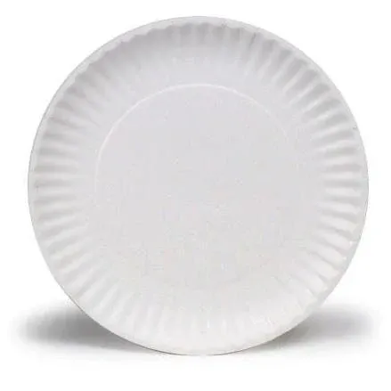 Disposable Plates