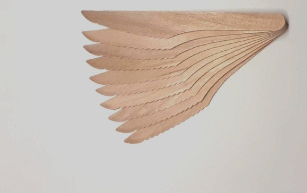 Disposable Bamboo Knife