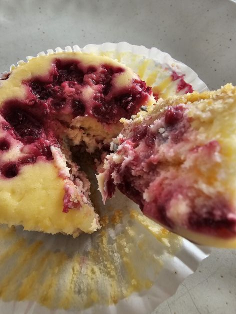 Mixed Berry Baked Cheesecake