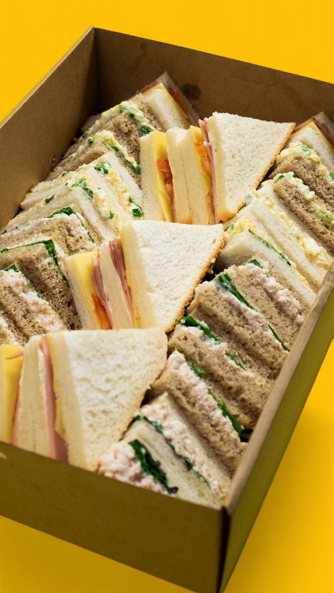Point Boxes Classic Points Box