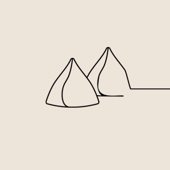Samosa (2 Per Serve)