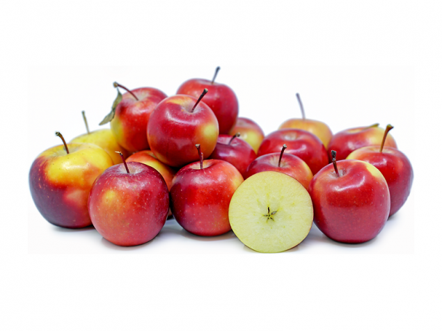 Apple Missile Premium 4each