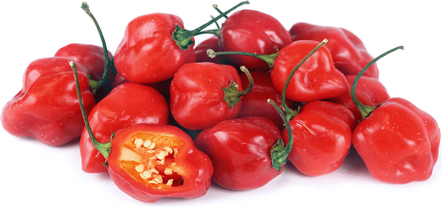 Ramarro Chilli Habanero Kg