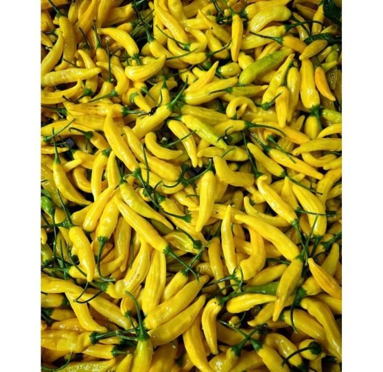 Ramarro Chilli Aji Limon Kg