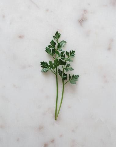 Sea Parsley 250g Bag