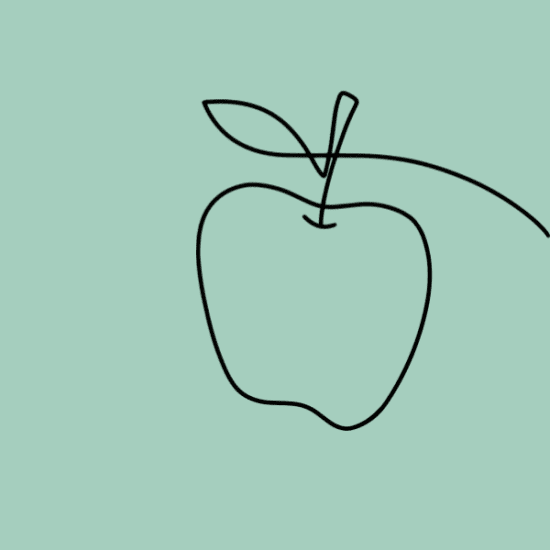 Individual Apple Juice - 500ml