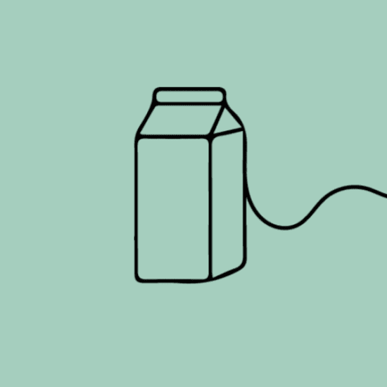 Flavoured Milk - 300ml