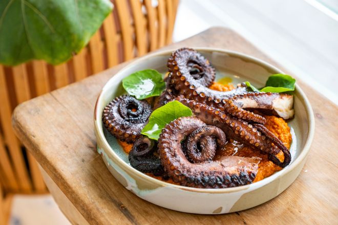 Grilled Espelette & Oregano Marinated Octopus (200g) w Romesco, Serves 4-6