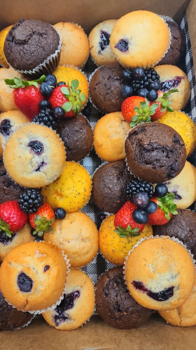 Mini Muffin Box - 24 pack