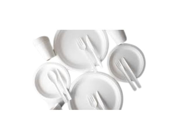 Disposable Serving Ware