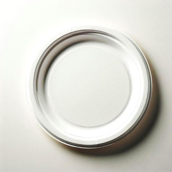 Biodegradable 9" Sugarcane Round Disposable Plate