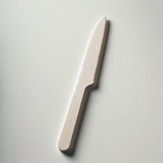 Biodegradable Wooden Knife