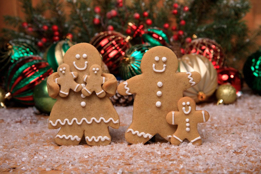 Box of Christmas Style Ginger Bread Collection 