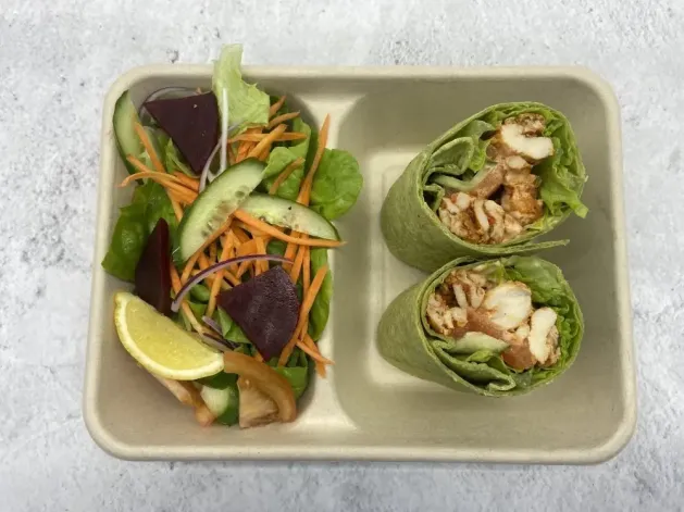 Gourmet Wrap & Salad Lunch Pack